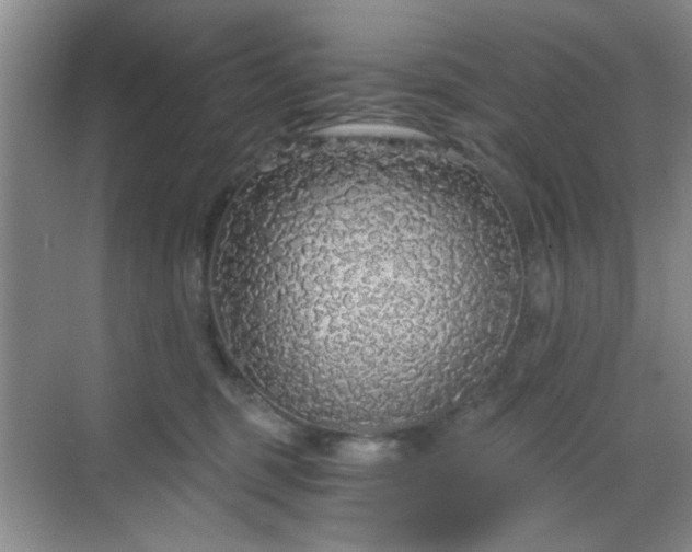 X0000068810375200605081126