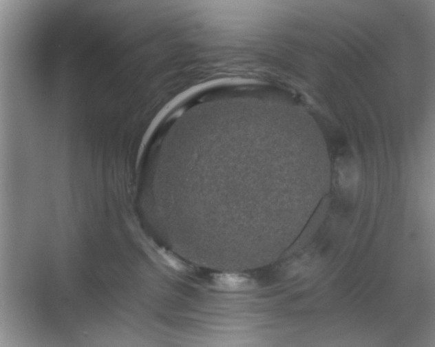 X0000068810380200605081126