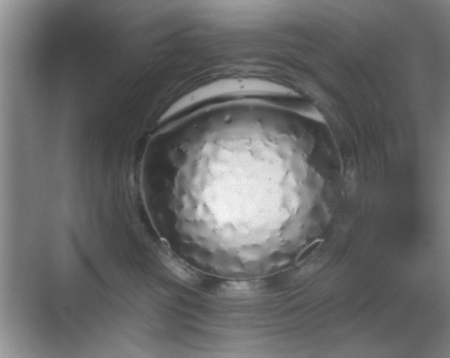 X0000068810381200605081126