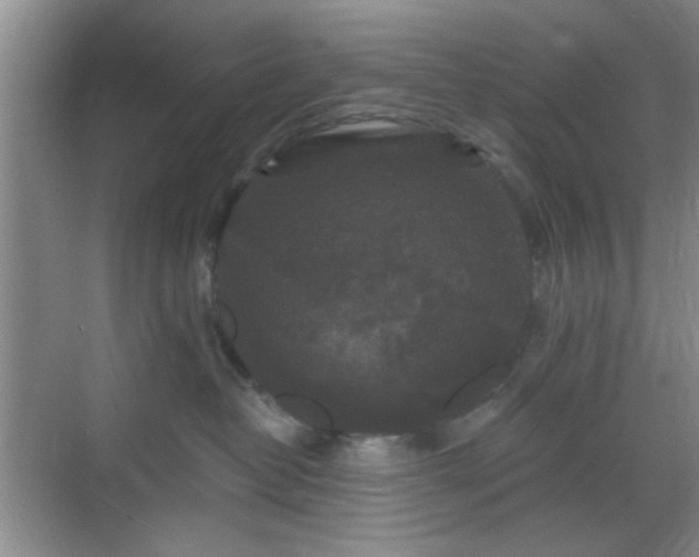 X0000068810382200605081126