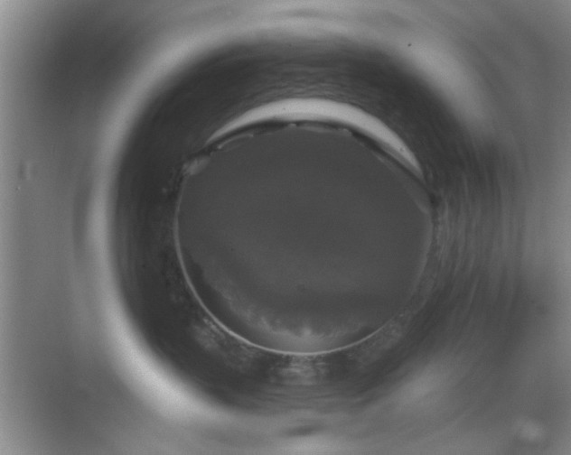 X0000068810383200605081126