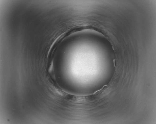 X0000068810384200605081126