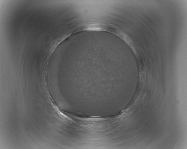 X0000068810385200605081125