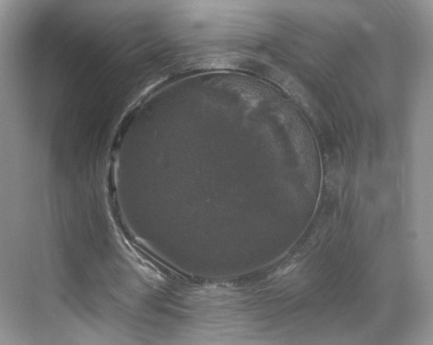 X0000068810386200605081125