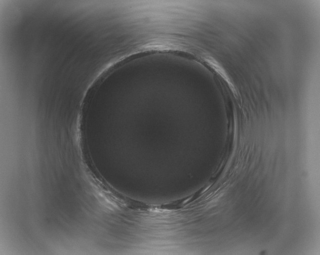 X0000068810387200605081125