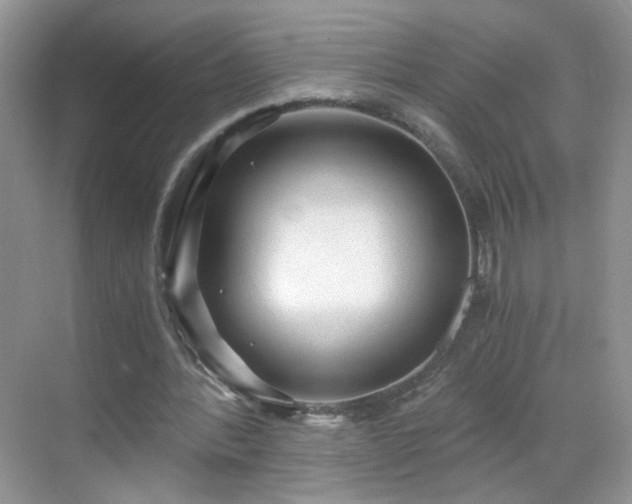 X0000068810388200605081125