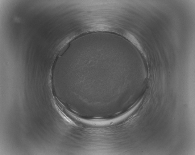 X0000068810389200605081125