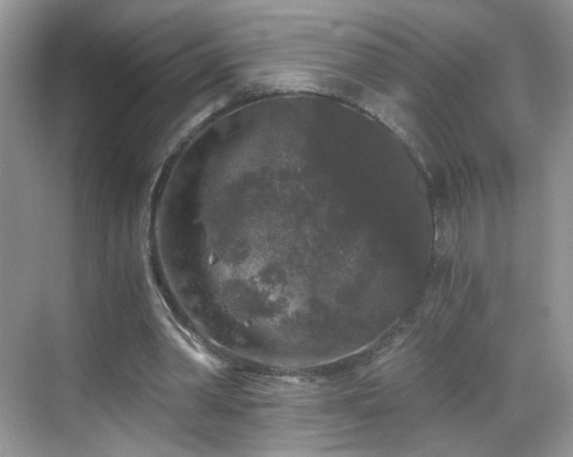 X0000068810390200605081125