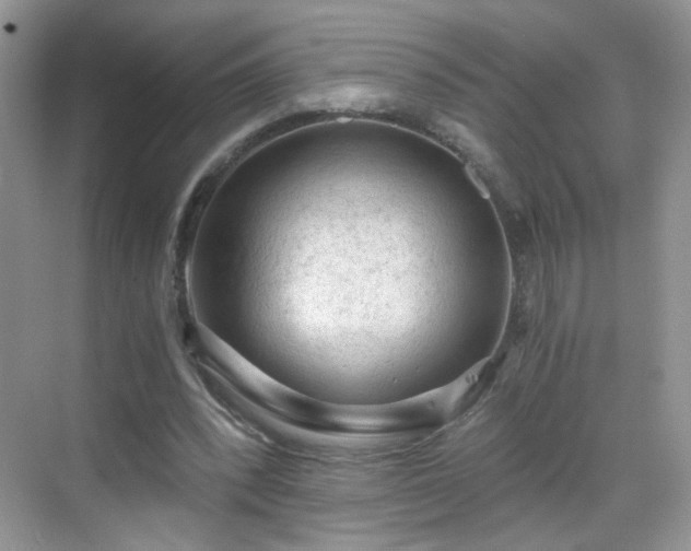 X0000068810392200605081125