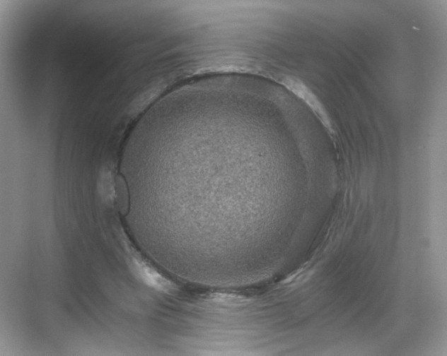 X0000068810393200605081125