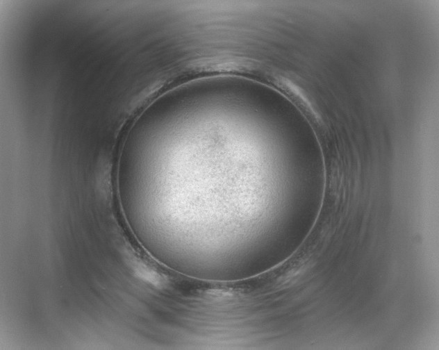 X0000068810394200605081125