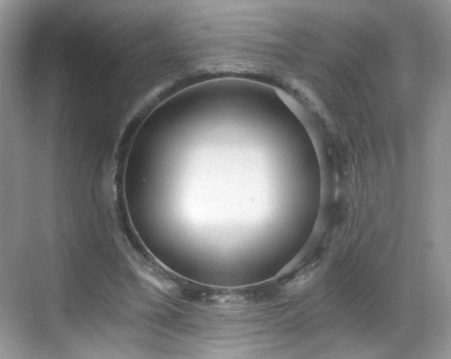 X0000068810395200605081125