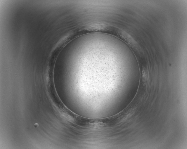 X0000068810396200605081125