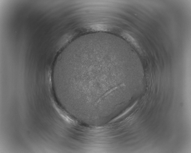 X0000068810398200605081125