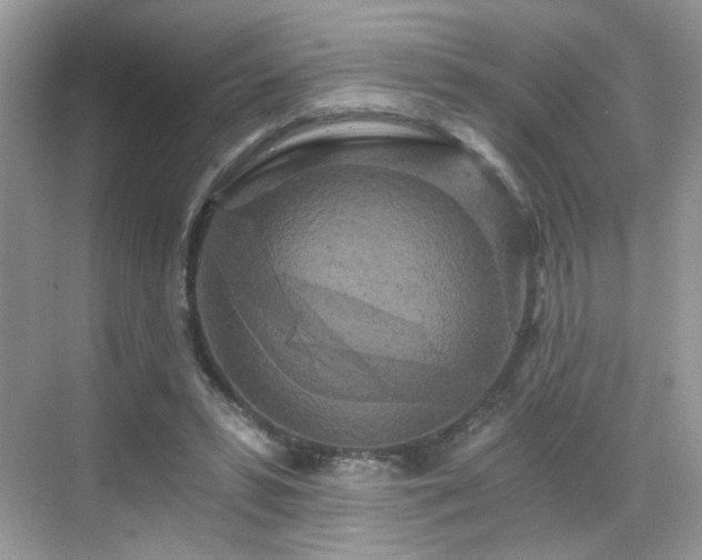 X0000068810399200605081125