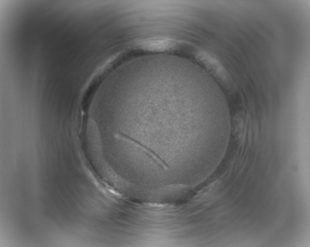 X0000068810400200605081125