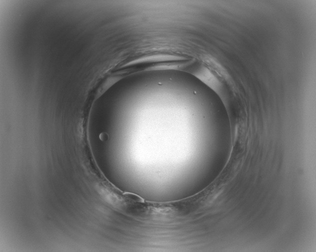 X0000068810401200605081125