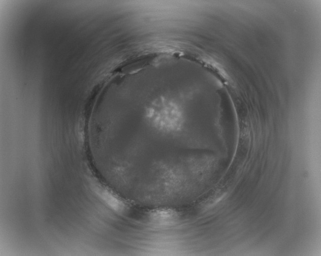 X0000068810402200605081125