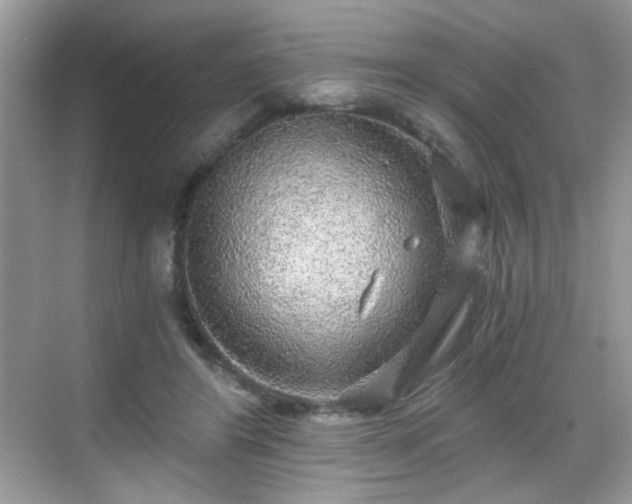 X0000068810404200605081125