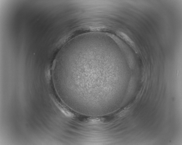 X0000068810405200605081125