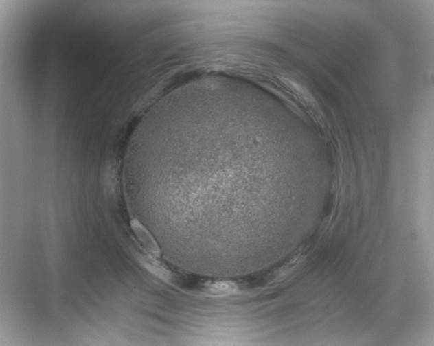 X0000068810409200605081124