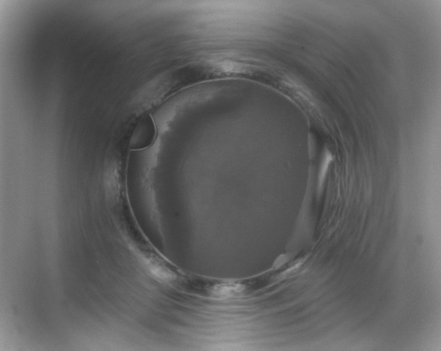 X0000068810410200605081124