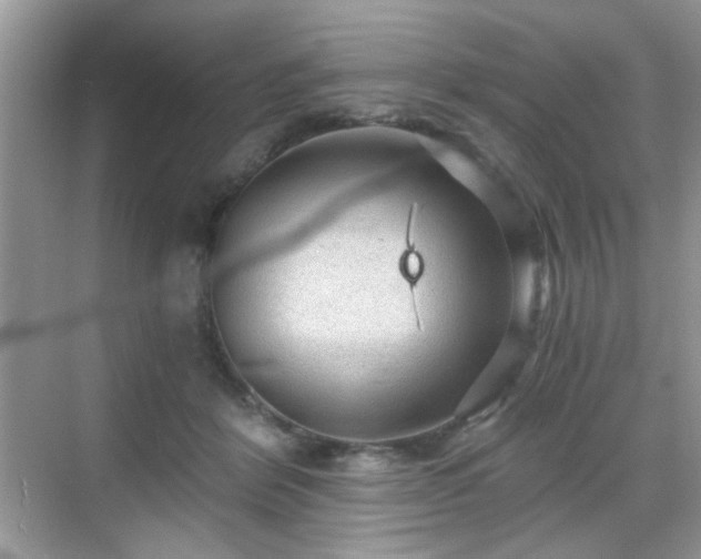 X0000068810412200605081124