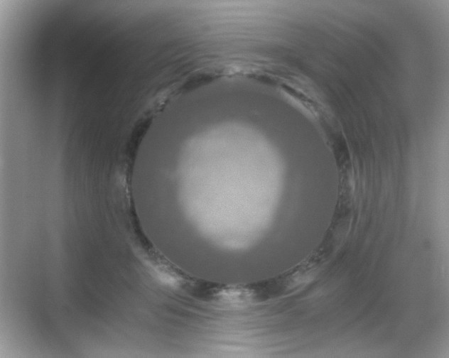 X0000068810415200605081124