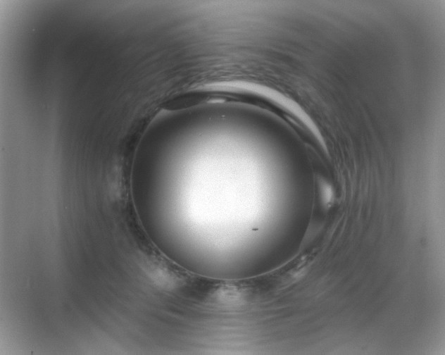 X0000068810416200605081124