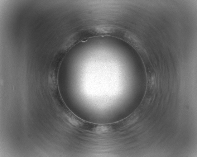 X0000068810418200605081124