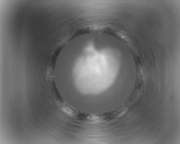 X0000068810419200605081124