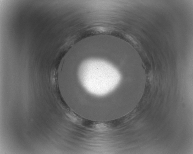 X0000068810423200605081124