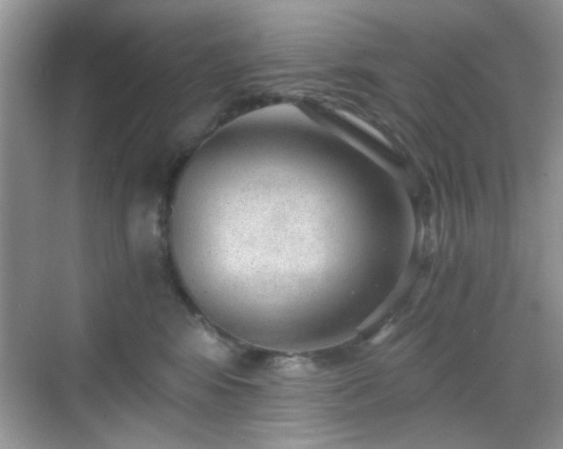 X0000068810424200605081124