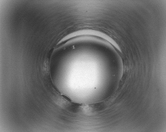 X0000068810425200605081124