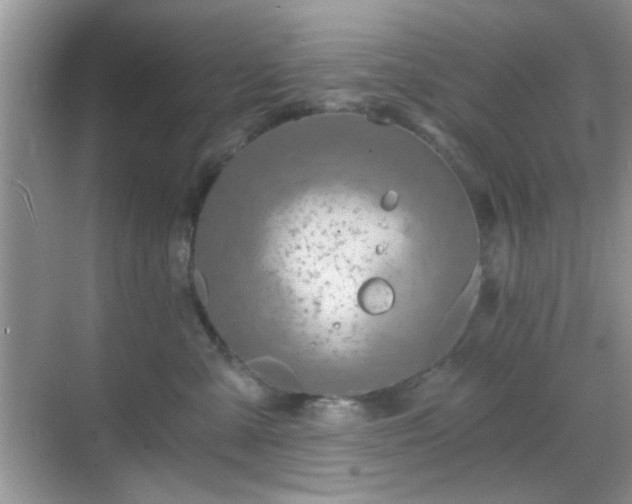 X0000068810427200605081124