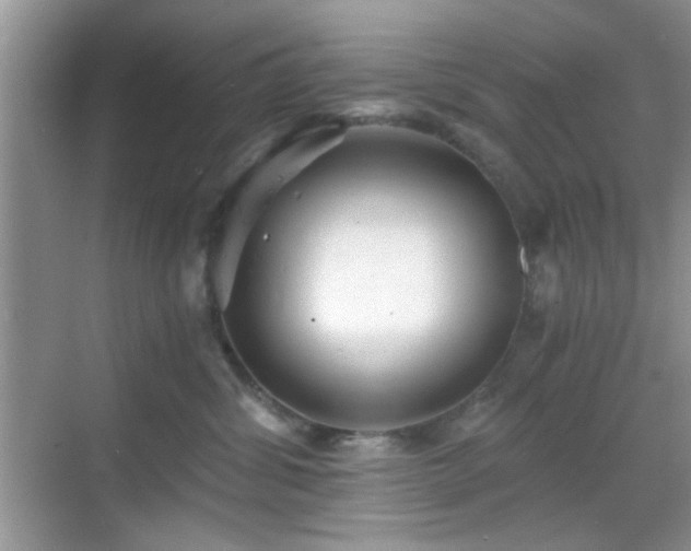 X0000068810428200605081124