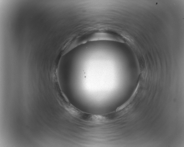 X0000068810429200605081124