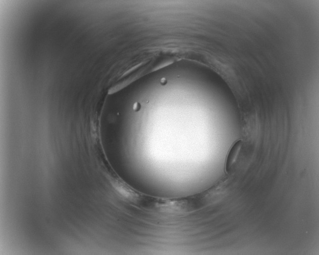 X0000068810430200605081124