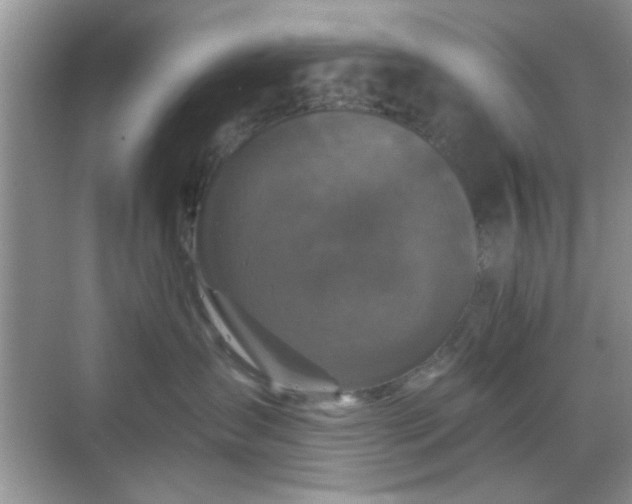 X0000068810431200605081124