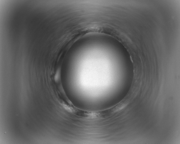 X0000068810432200605081124