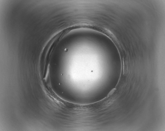 X0000068810435200605081123