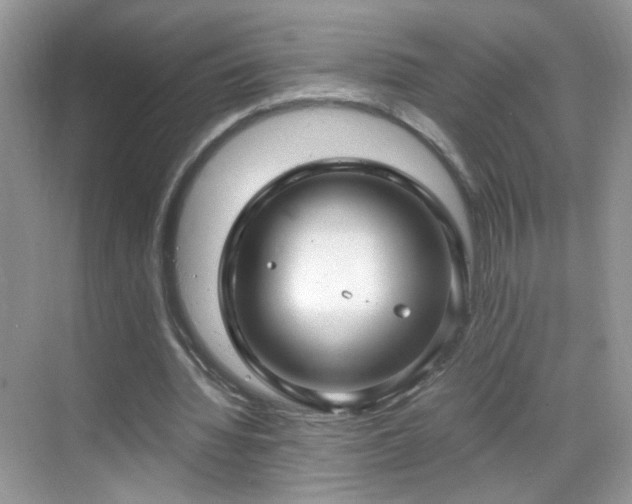 X0000068810436200605081123