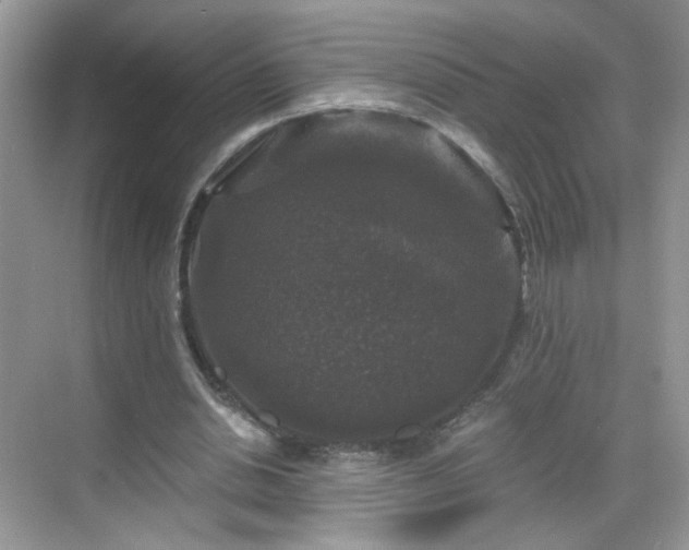 X0000068810438200605081123