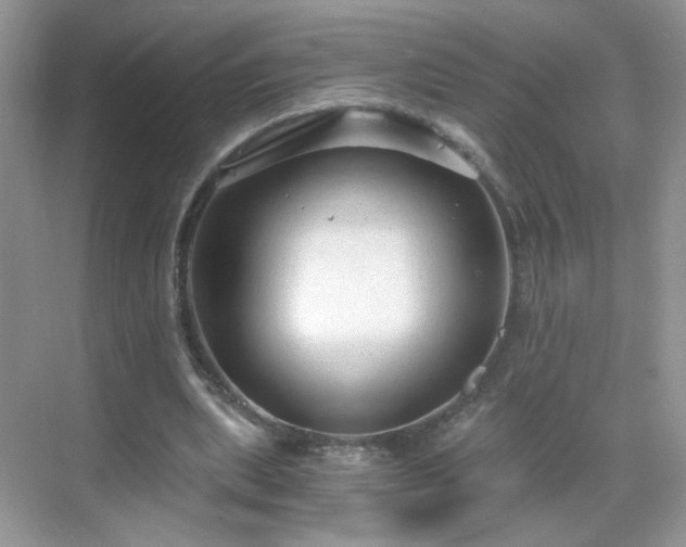 X0000068810439200605081123