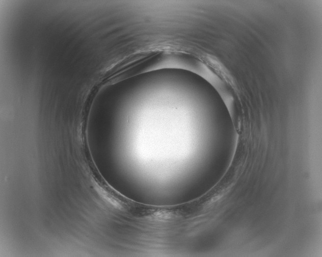 X0000068810441200605081123