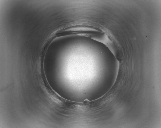 X0000068810442200605081123