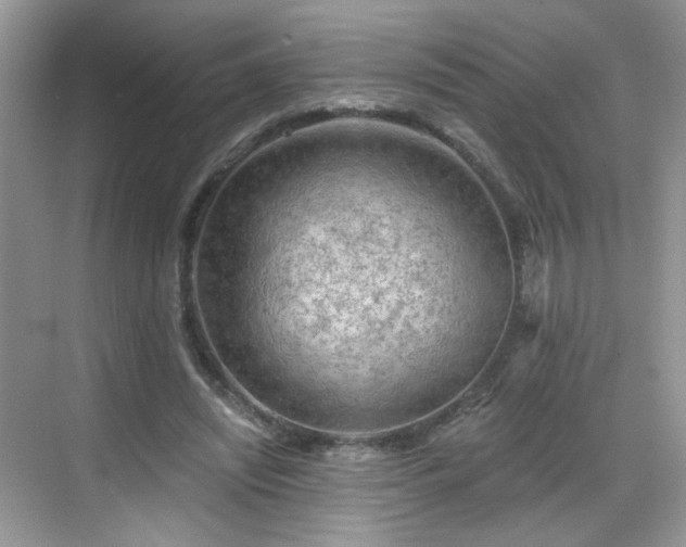 X0000068810444200605081123