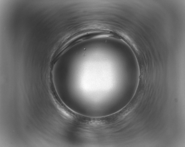 X0000068810445200605081123