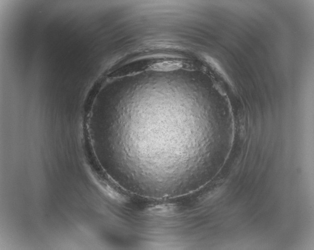 X0000068810447200605081124