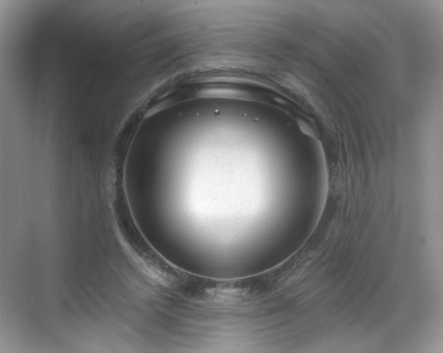 X0000068810448200605081124